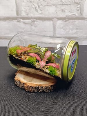 Fekvő mini florárium bébiételes üvegben