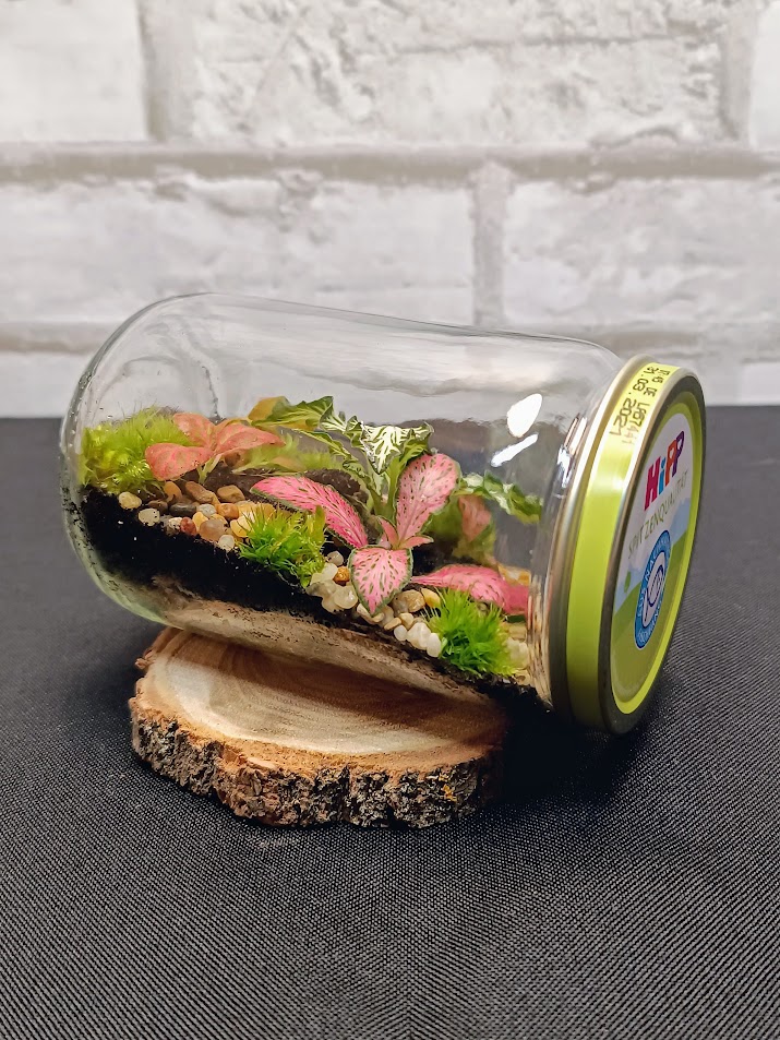 Fekvő mini florárium bébiételes üvegben