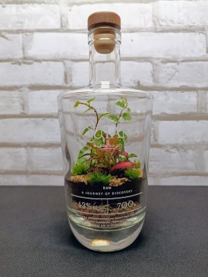 Florárium exkluzív rumosüvegben
