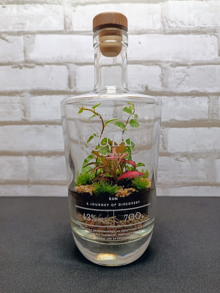 Florárium exkluzív rumosüvegben