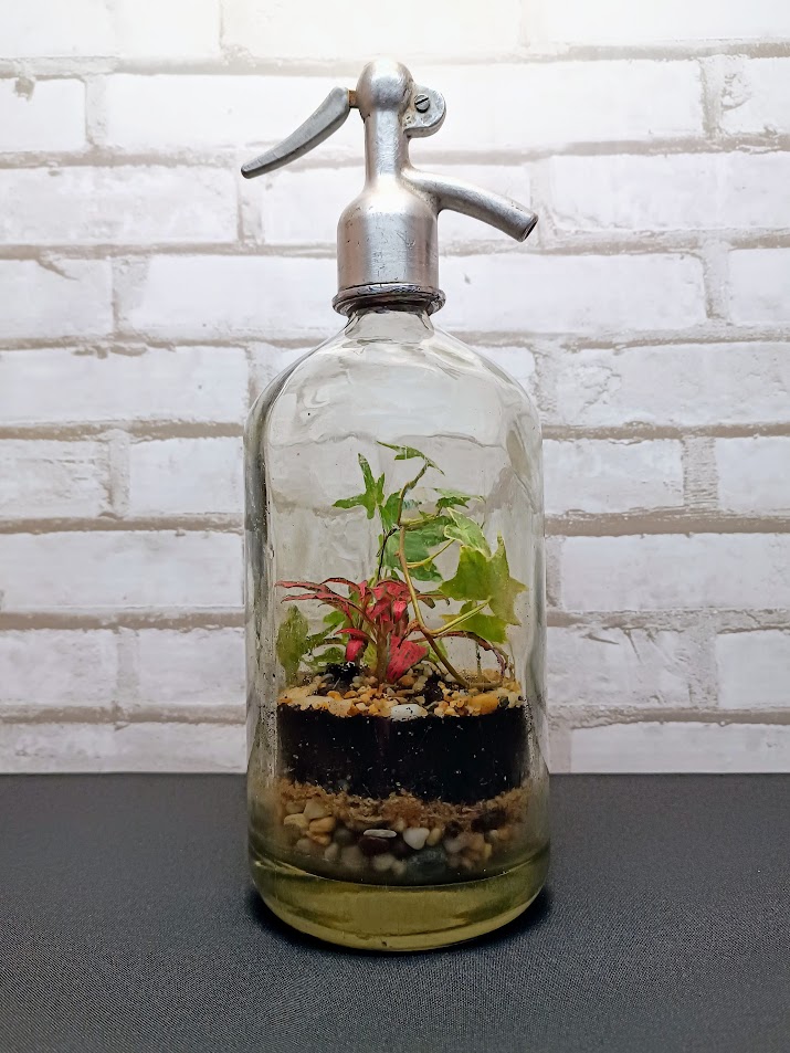 Szódásüveg florárium