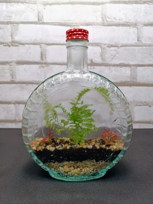 Florárium kulacs formájú üvegben
