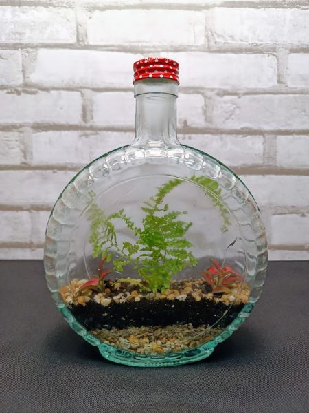 Florárium kulacs formájú üvegben