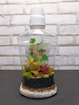 Florárium flakonban