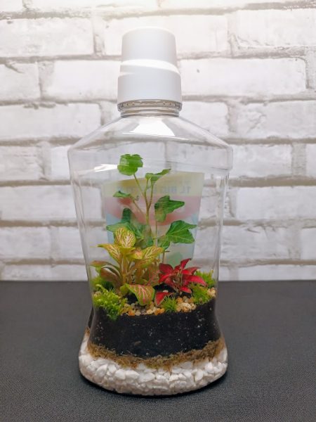 Florárium flakonban