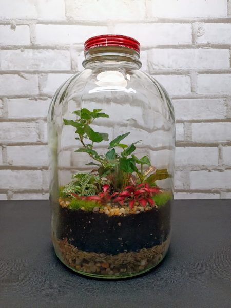 Florárium kóla szirupos üvegben