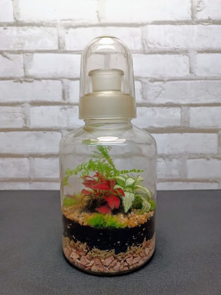 Laborüveg florárium érdekes kupakkal