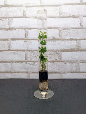 Mérőhenger florárium