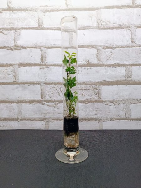 Mérőhenger florárium